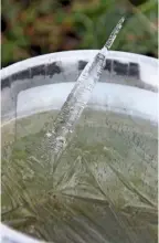  ??  ?? An ice spike protrudes from the frozen surface of water in a bucket. While such spikes are uncommon, they can reach a length of 4in (10cm) (left). Delicate strands of hair ice resemble cotton wool (right).