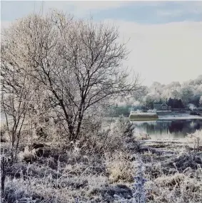  ??  ?? Carolyn Boyle’s lovely wintry scene