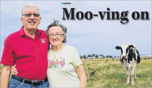  ?? MILLICENT MCKAY/JOURNAL PIONEER ?? Smith Gunning, left, and wife Marjorie, in their pasture as a cow slowly approaches. The owners of Old Home Farm said goodbye to half of their herd on Friday after selling the cows and milk quota to a farm in the Western end of the Island.