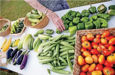  ?? [PHOTO BY ANYA MAGNUSON, THE OKLAHOMAN] ?? Betty Enox of Norman peruses fresh produce from the Generation­s Church community garden adjacent to the Nazarene church, 1433 W Boyd.