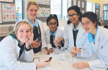  ??  ?? INQUIRING MINDS: Students become budding scientists through the program offered by St Mary's College.