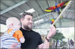  ??  ?? ■ A toddler meets Lorikeets at Twycross Zoo.