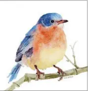  ?? IMAGE COURTESY OF THE ARTIST ?? An exhibition of bird and nature watercolor­s by Sharon Rowley Morgio will be on display at the Funky Monkey Café & Gallery in Cheshire from April 29to May 31.