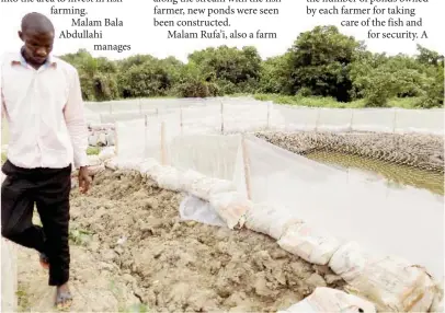  ??  ?? Bala supervisin­g some of the newly constructe­d ponds