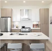  ??  ?? Homebuyers at Luxia can choose from two colour palettes — Urban and Elm.