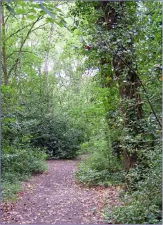  ??  ?? Enjoy a nature trail for National Biodiversi­ty Week.