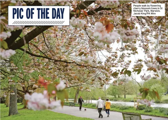  ?? ?? People walk by flowering cherry blossom trees in St Nicholas’ Park, Warwick. Jacob King/pa Wire