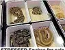  ??  ?? STRESSED Snakes for sale