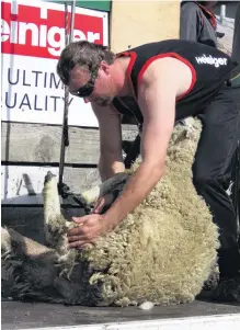  ?? PHOTO: YVONNE O’HARA ?? Nigel Woodhead, of Milton displays superior shearing skills at last year’s show.