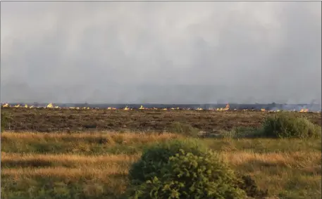  ?? Pics: Donal Hackett. ?? The gorse fire near Curry.