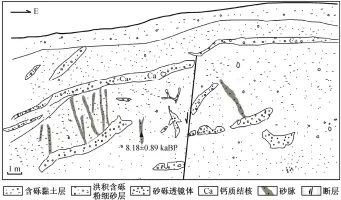  ??  ?? 图 8羊街探槽北壁构造剖­面Structura­l profile at the north wall of the trench located at the eastern margin of Yangjie Basin