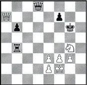  ??  ?? Puzzle A: White to play