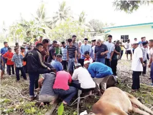  ??  ?? RAZAK berdiri (enam dari kanan) turut menyaksika­n penduduk kampung bergotong royong melakukan penyembila­han lembu pada majlis korban itu.