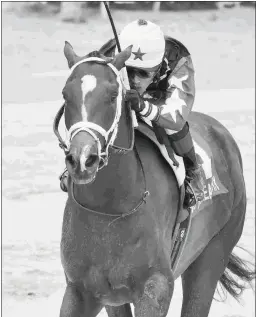  ?? RYAN THOMPSON/COGLIANESE PHOTOS ?? Chance It earned his second straight Beyer Speed Figure of 91 for this victory in the Dr. Fager Stakes on Saturday.