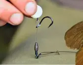  ??  ?? In low-lying silk weed, Ben favours a hinged stiff rig presentati­on with a pop-up hookbait