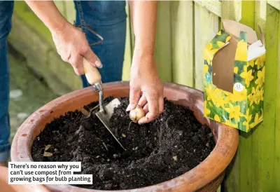  ??  ?? There’s no reason why you can’t use compost from growing bags for bulb planting