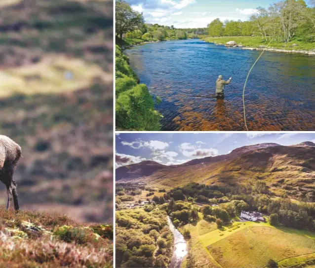  ??  ?? Clockwise, from above: Knock House on Mull, a near-perfect Scottish estate; many estates in the Highlands offer red deer stalking; for the chance of a salmon, head to an estate on the Spey