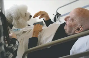  ??  ?? Jeff Philipson, 80, (right) smiles as he visits with Zeus at The Hebrew Home. (AP/Seth Wenig)