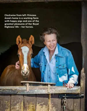  ??  ?? Clockwise from left: Princess Anne’s home is a working farm with happy pigs and one of the greatest pleasures of Her Royal Highness’ life – her horses.