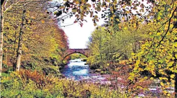  ?? ?? Forfar’s John Crichton took this shot just a few miles from home and says: “Enjoy the colours while you may seems to be the message from the South Esk near Cortachy.”