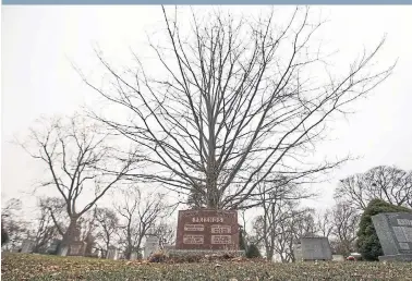  ?? RICK MADONIK PHOTOS TORONTO STAR ?? Visitors to Prospect Cemetery, off St. Clair Ave. W., might wonder at an inscriptio­n with the label “friends.”