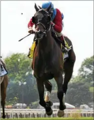  ?? NYRA PHOTO ?? Sassy Little Lila, with Luis Saez up, was runner up in the Just a Game on Belmont Stakes Day June 10, 2017. Today, she will take on the boys in the Fourstarda­ve Handicap at Saratoga Race Course.