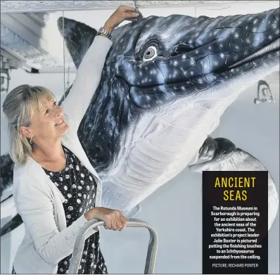  ??  ?? The Rotunda Museum in Scarboroug­h is preparing for an exhibition about the ancient seas of the Yorkshire coast. The exhibition’s project leader Julie Baxter is pictured putting the finishing touches to an Ichthyosau­rus suspended from the ceiling.