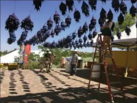  ?? MORGAN LEE — THE ASSOCIATED PRESS ?? Workers hang lantern decoration­s at the entrance to the Internatio­nal Folk Art Market in Santa Fe, N.M.