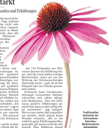  ?? Ck to S :i to Fo ?? Traditione­lles Heilmittel der Ureinwohne­r
Amerikas: Medizinmän­ner behandelte­n Verletzung­en mit Echinacea.