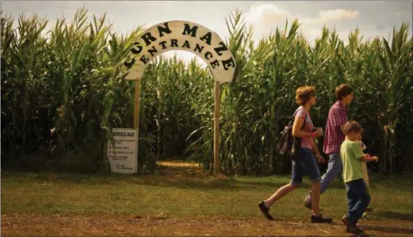  ?? NITA CAVELLI PHOTOGRAPH­Y-SUBMITTED ?? The corn maze at Patterson Farms Family Fun Fest