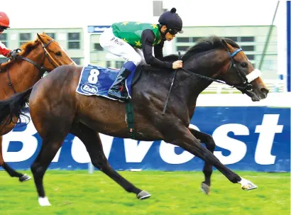  ??  ?? DOWN IN CLASS. Turbulent Air has run in the Winter Series and is expected to be competitiv­e in Race 6 at Kenilworth tomorrow, a Pinnacle Stakes over 1600m.