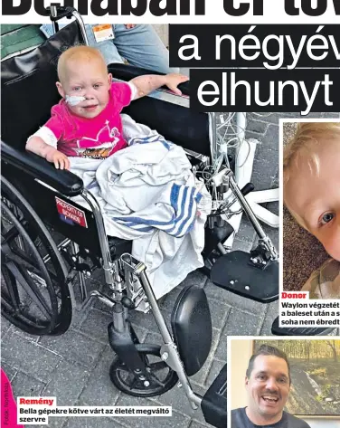  ?? ?? Remény
Bella gépekre kötve várt az életét megváltó szervre
Donor
Waylon végzetét egy rádőlt komód okozta, a baleset után a szíve még dobogott, de már soha nem ébredt volna fel a kómából