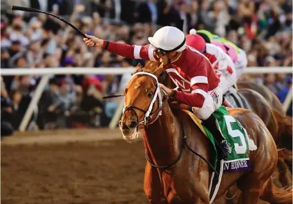  ??  ?? BRILLIANT. Gun Runner romps to victory in the world’s richest race, the $16 million Pegasus World Cup Invitation­al (Grade 1) over 1800m at Gulfstream Park on Saturday.