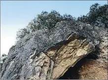  ?? JOSEP CORBELLA ?? La marca del barreno, oblicua, en la entrada de la cueva