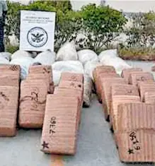  ?? /CORTESÍA ?? Se le confiscaro­n más de 44 kg de marihuana.