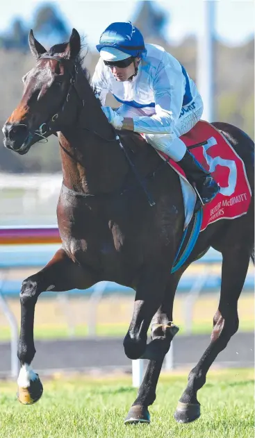  ?? Picture: AAP ?? SENT FOR SPELL: Jockey Brad Stewart rides Zoustyle to win the Aquarius Refrigerat­ion and Air Conditioni­ng QTIS Two-Year-Old Handicap at the Sunshine Coast in July.