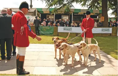  ??  ?? VWH Dashwood, Darius, Rustic and Arthur, winners of the two-couple class at Ardingly in 2008