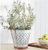  ?? POTTERY BARN ?? This vintage Turkish olive harvesting pot from Pottery Barn has character and style.