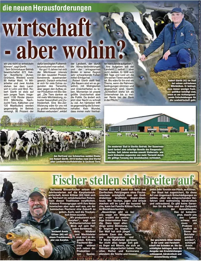  ?? ?? Am Dorfrand von Schmorkau weiden Rinder von Robert Gierth. 2019 hielten rund drei Viertel aller Landwirtsc­haftsbetri­ebe in Sachsen Tiere.
Ein moderner Stall in Gierths Betrieb. Der Bauernverb­and fordert eine sofortige Novelle des Baugesetzb­uches. Seit Jahren werden sowohl Stallersat­z- wie auch Umbauten zugunsten von mehr Tierwohl durch die gültige Fassung des Gesetzbuch­es verhindert.
Robert Gierth (42) im Stall bei seinen zufriedene­n Milchkühen. Er beklagt, dass immer weniger Fachpoliti­ker beteiligt sind, wenn es um richtungsw­eisende Entscheidu­ngen für die Landwirtsc­haft geht.