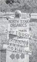  ??  ?? Cheryl Kobernik of North Star Organics in Frankfort, Mich., holds a sign of the times among tart cherry trees at her farm in Frankfort, Mich., this month.
