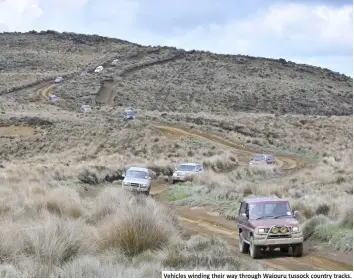  ??  ?? Vehicles winding their way through Waiouru tussock country tracks.