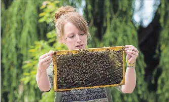  ?? JULIE JOCSAK THE ST. CATHARINES STANDARD ?? Renee Delaney, founder of Small Scale Farms and a passionate advocate for pollinator­s is photograph­ed with the new bees hives in the newly-developed green burial section at Fairview Cemetery which is a two-acre wildflower meadow.