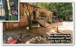  ??  ?? Der Mietvertra­g der „Wildwuchsw­elt“läuft im April 2023 aus.