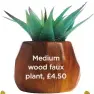  ??  ?? Medium wood faux plant, £4.50