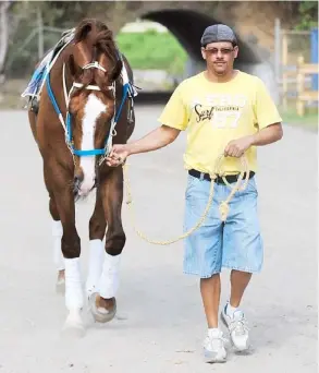  ?? Suministra­da ?? El entrenador Gilberto Escobar indicó que Don Paco regresará a la pista mañana.