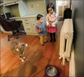  ?? Chicago Tribune/ TNS/ ERICA BENSON ?? Aria Ricchetti of River Forest, Ill., helps teach her brother Leo how to feed their dog Zola prior to her leaving for school.