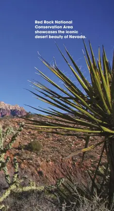  ??  ?? Red Rock national Conservati­on Area showcases the iconic desert beauty of nevada.