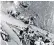  ??  ?? Survivors of the sinking of USS Lexington climb aboard another ship after the battle of the Coral Sea