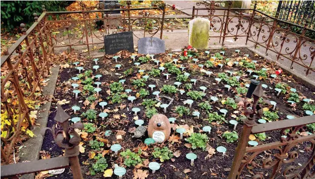 Keine Blumen Keine Trauerfeier Pressreader