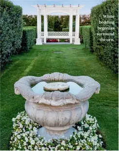  ??  ?? White bedding begonias surround the urn.